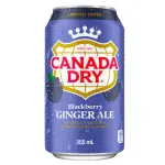 Canada Dry Blackberry (12x355ml)