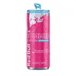 Red Bull Nectarina (24x250ml) BR