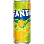 Fanta Plum Citron (30x250ml)
