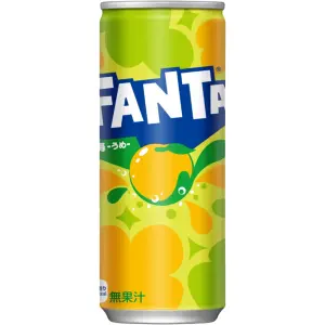 Fanta Plum Citron (30x250ml)