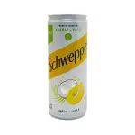 Schweppes Ananas Coco (24x240ml)