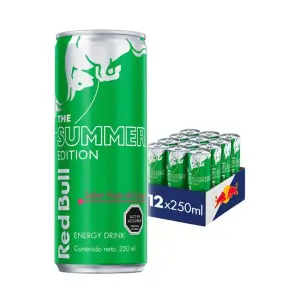 Red Bull Fruit du Dragon (24x250ml)